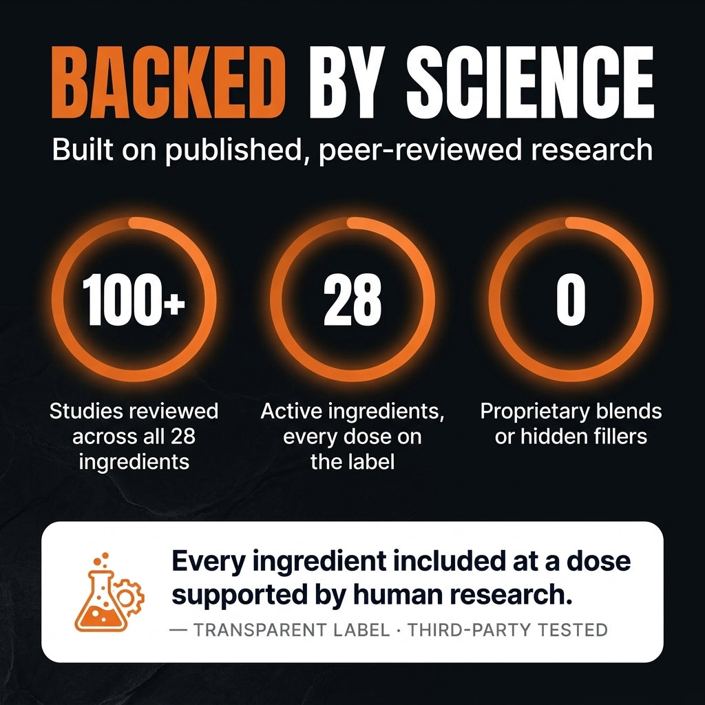 Apex - The 24-Hour Protocol.